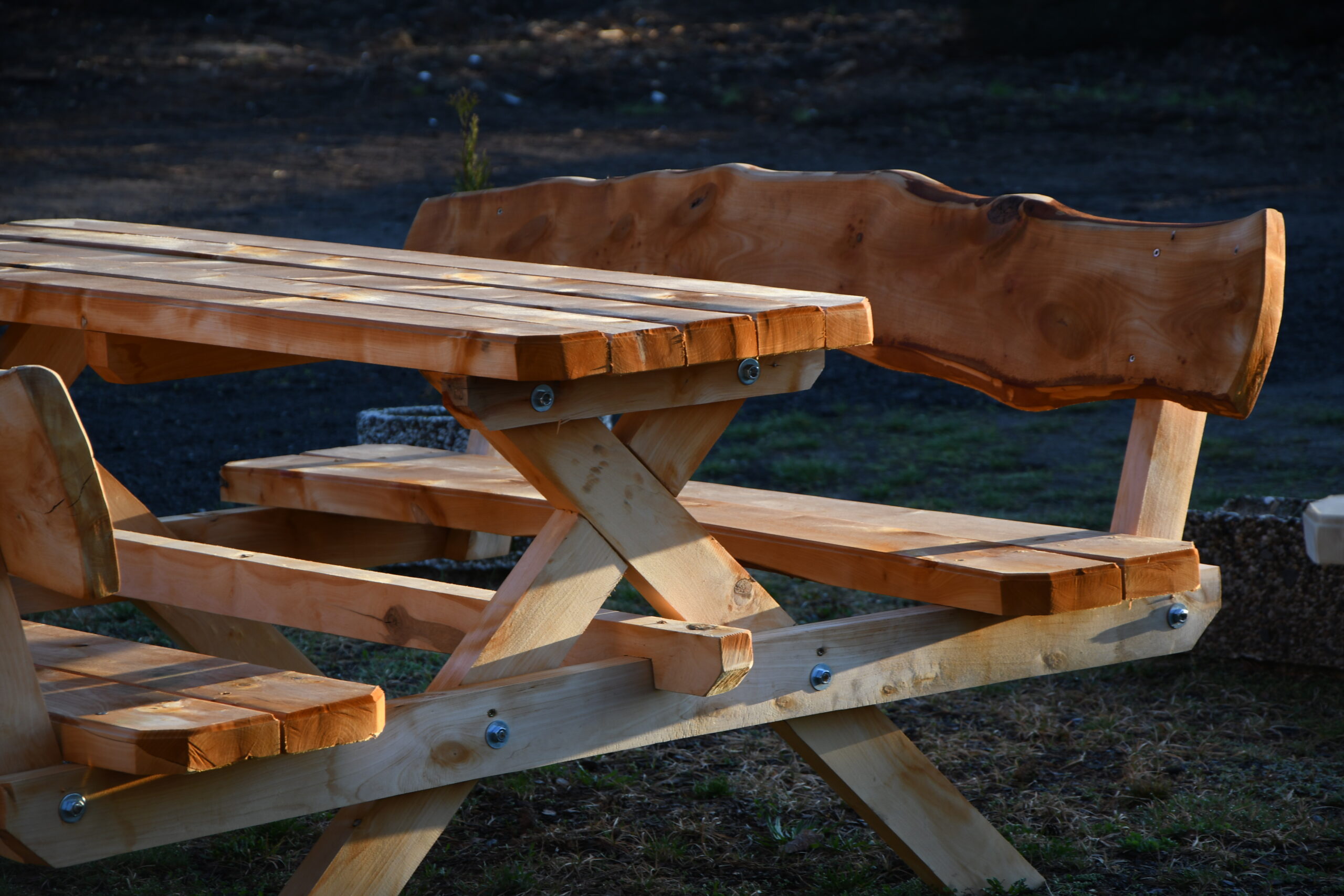 informacja o rodzaju usług świadczonych przez firmę gonzo